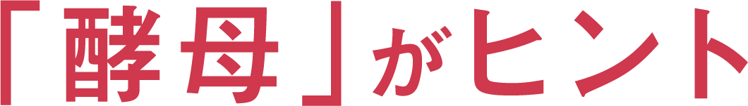 コーボンマーベル（cobon）
