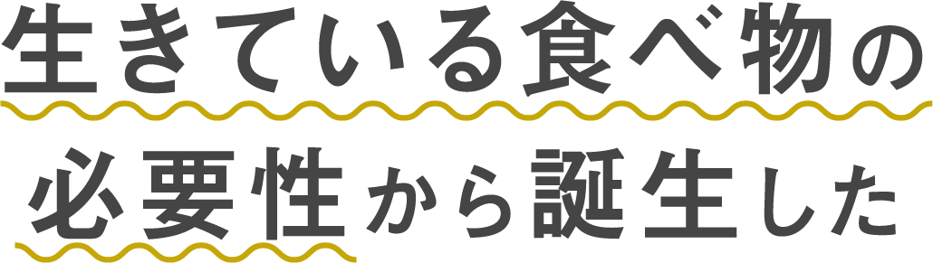 コーボンマーベル（cobon）