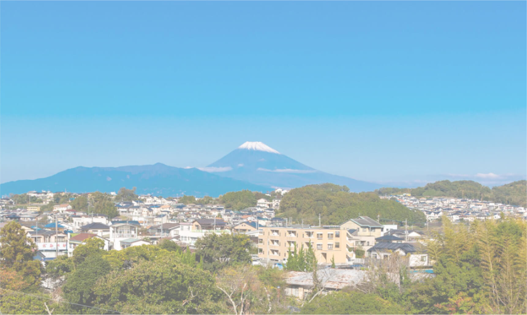 コーボンマーベル（cobon）