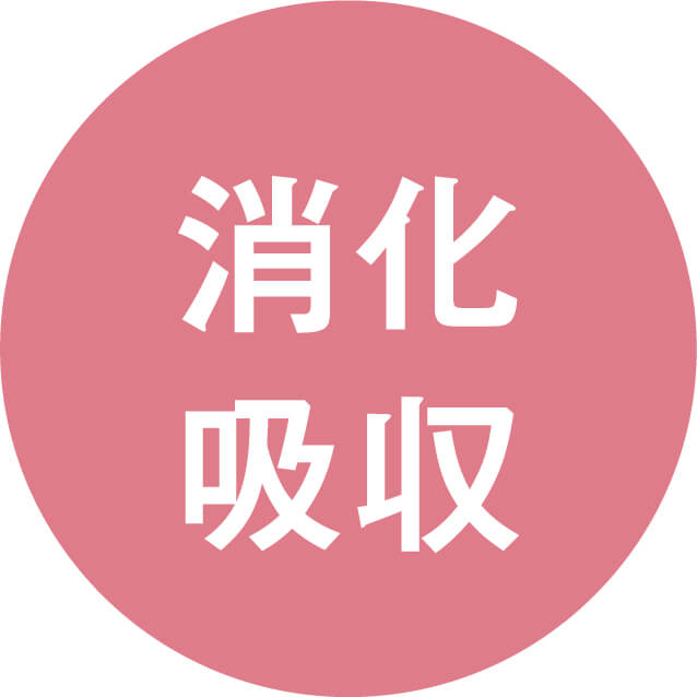 コーボンマーベル（cobon）