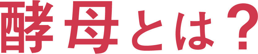 コーボンマーベル（cobon）