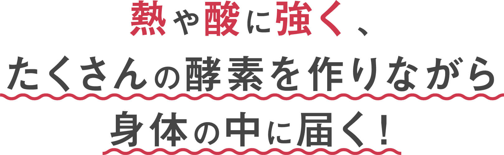 コーボンマーベル（cobon）