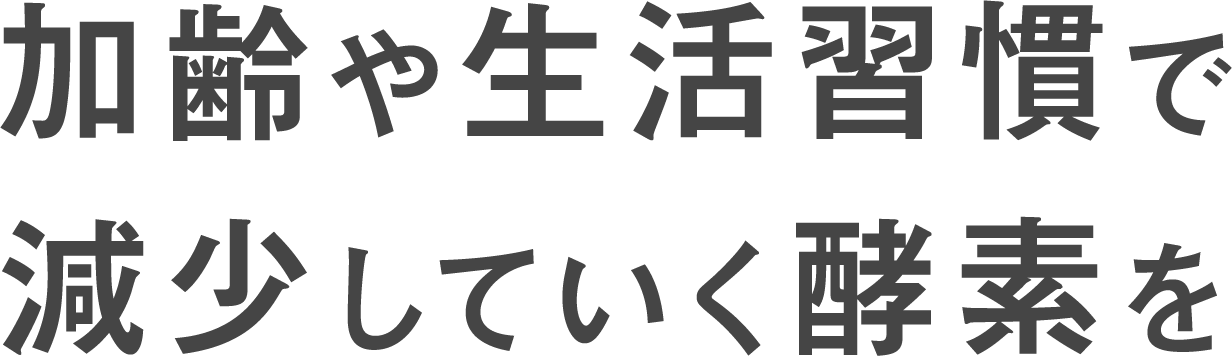 コーボンマーベル（cobon）