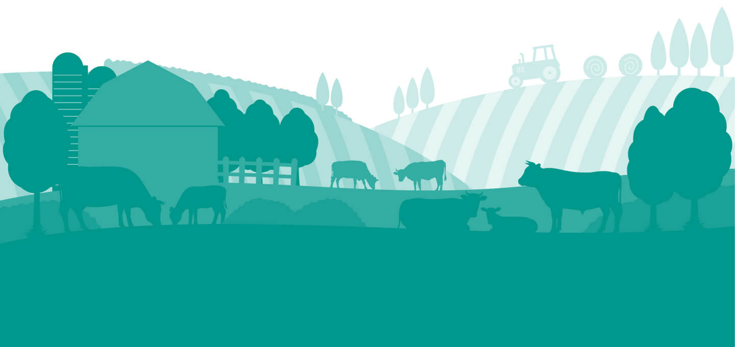 ミルコロエイジングヨーグルト〔イミコトマルシェ〕