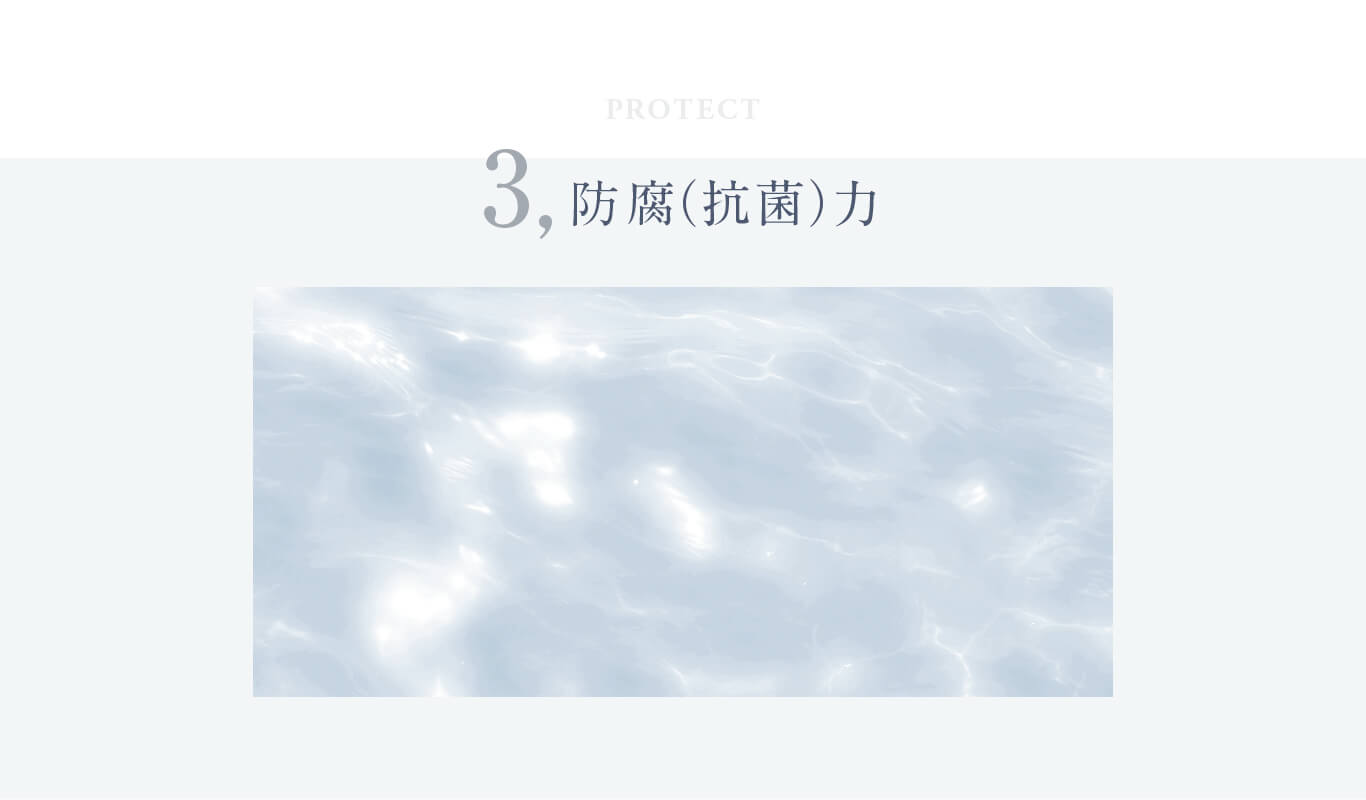 防腐力（抗菌力）