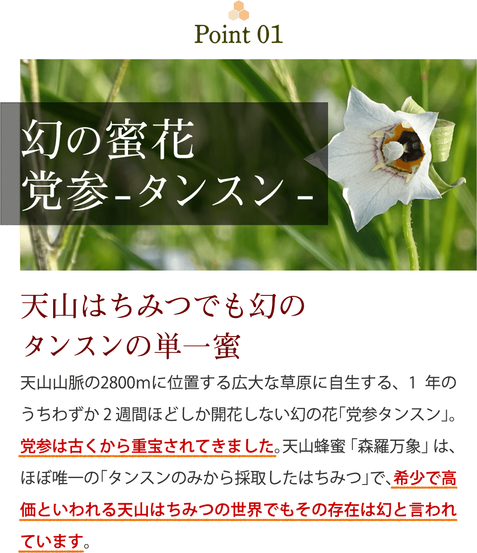 幻の蜜花党参-タンスン-